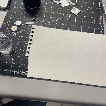 This is the empty new page that I was going to apply the paint to